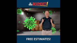 Musty Basement Smell in East Tennessee? It’s Usually Humidity #Shorts