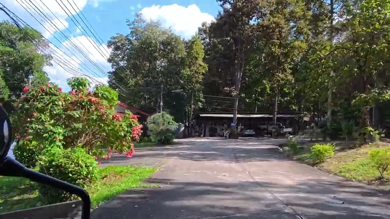 3 มกราคม ค.ศ. 2026:วัดพระธาตุดอยเวียง อ.บ้านธิ จ.ลำพูน