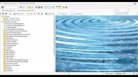 25 - SAP GRC - ARA - INTRODUCTION