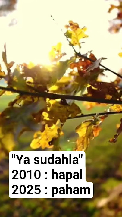 Ya sudahlah | #youtube #tiktok #indonesia #palembang #bondanprakoso #liriklagu #foryou #fyp
