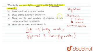 What is the common between amino acids, fatty acids and glycerol | 11 | DIGESTION AND ADSORPTION...