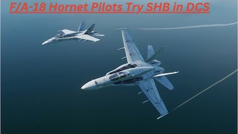 F/A-18 Hornet Pilots Try a SHB in DCS!