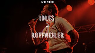 IDLES - Rottweiler (Sub. Español + Lyrics)