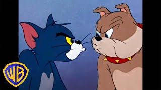 Katzen gegen Hunde 🐱🐶  | Tier-Takeover | Tom und Jerry auf Deutsch 🇩🇪 | @WBKidsDeutschland