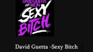 David Guetta -Sexy Bitch