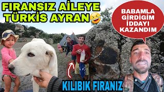 BABAMLA GİRDİĞİM İDDAYI KAZANDIM!!FRANSIZ AİLEYE TÜRKİS AYRAN!!KILIBIK FIRANSIZ