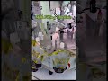 Milk Pouch Filling Machine #automation #fillingmachine #milk #automatic #packingmachine #machine