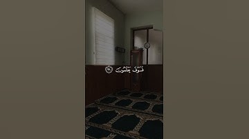 وَلَقَدْ نَعْلَمُ أَنَّكَ يَضِيقُ صَدْرُكَ بِمَا يَقُولُونَ - سورة الحجر - عبدالله الخلف