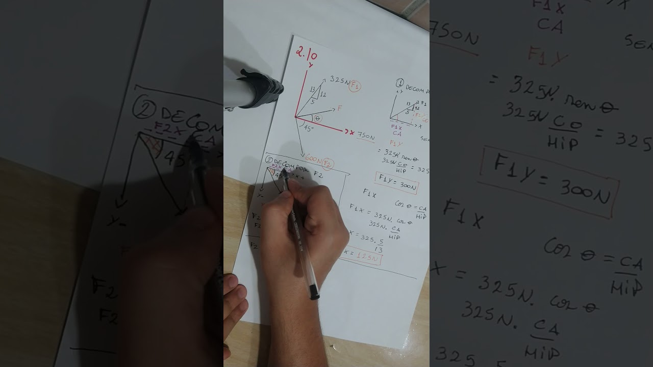 EXERCÍCIO 2.10 (HIBBELER - ESTÁTICA) - AULA 3