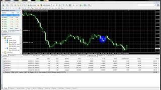 Forex Video Tutorial   1 Bangla