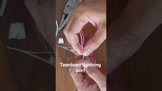 teardown lightning port #whatinside #lightning #teardownminecraft