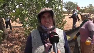 Gaziantep’te Kavurucu Sıcaklar Kadınları Durdurmuyor