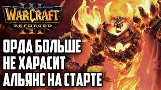 ОРДА БОЛЬШЕ НЕ ХАРАСИТ АЛЬЯНС НА СТАРТЕ: Warcraft 3 Reforged