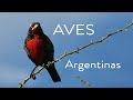 Aves Argentinas