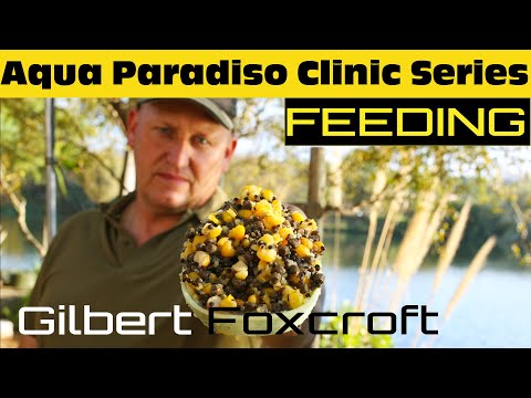 Aqua Paradiso Clinic Series | Ep 2 - Feeding