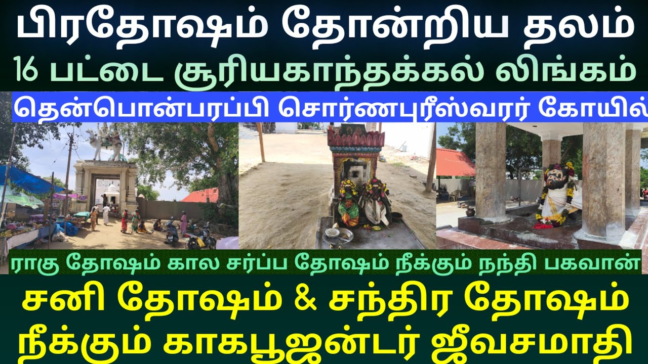காகபுஜன்டர் பிரதிஷ்டை செய்த 16 பட்டை சூரியகாந்தக்கல் லிங்கம் தென்பொன்பரப்பி செர்ணபுரீஸ்வரர் கோயில்