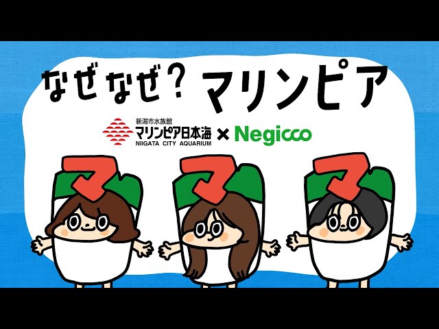 新潟市水族館マリンピア日本海 × Negicco 2025年CM イルカ編 - YouTube