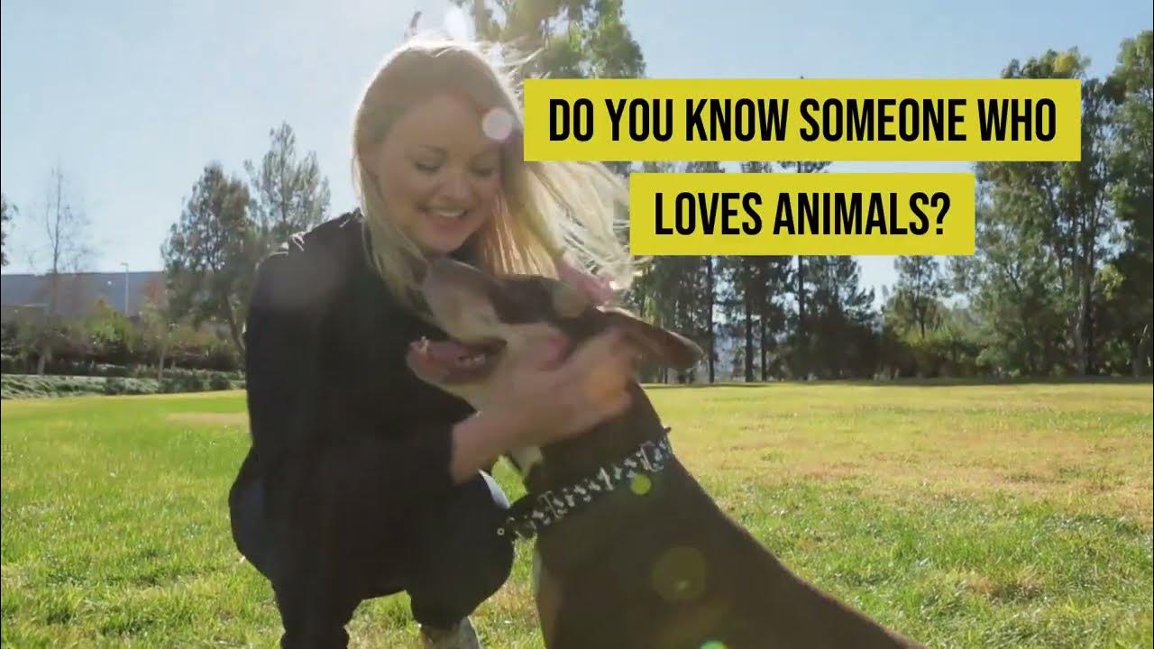 Earn Cash As an Animal Behavior College Affiliate YouTube