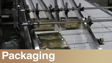 Shuttleworth - Conveyor Combiner - Pasta Packs Two Lanes to One