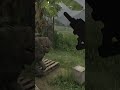 Gray Zone ASMR