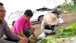 รายการคนไทยหัวใจเกษตร 27 กรกฎาคม 2559 B2