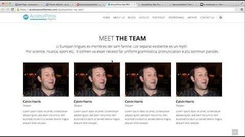 Premium WordPress Theme AccessPress Ray Pro - How to Add Featured Widget Section | WordPress Blog