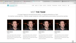 Premium WordPress Theme AccessPress Ray Pro - How to Add Featured Widget Section | WordPress Blog