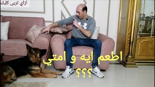 مواعيد تطعيمات الكلب و انواعها