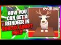 How You Can Get a Reindeer In Roblox Adopt Me