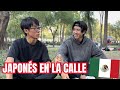 ¿Qué le impulsó dejar Japón y empezar de cero en México? 🇯🇵🇲🇽