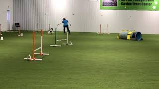 IMG 1031