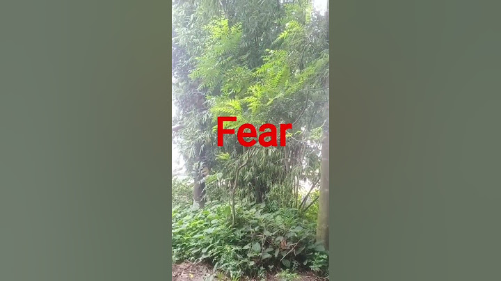 No one will be scared after watching this terrifying video. #viralshorts #ytshorts #shortsvideo