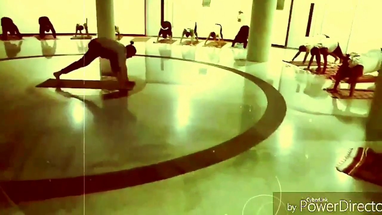 सुर्य नमस्कार/Yoga for beginners/ Steps Surya Namaskar ...