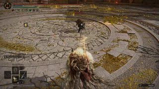 ELDEN RING When Hyper Armor abuser meet in the area!!!