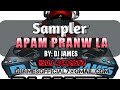 Sampler 2023 apam pranw la by dj james dj grande puissance lan  50948409567