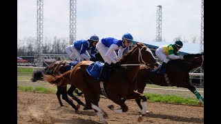 Павловские скачки, Приз Пробный