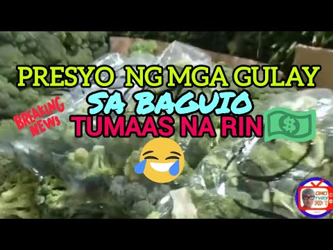 Baguio City...not a Summer Capital anymore (Summer Escapade Part2) /omotv23