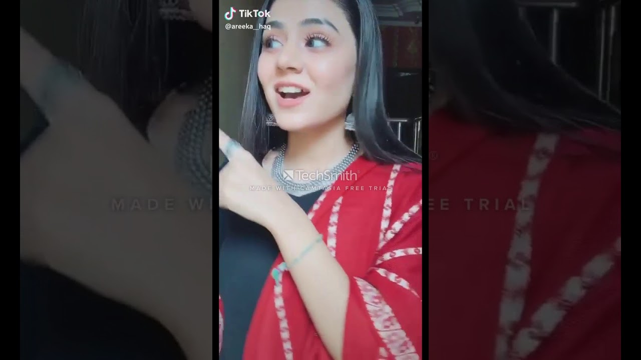 Famous Tik Tok
