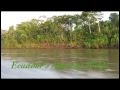 Amazon Wilds - Overseas Adventure Travel