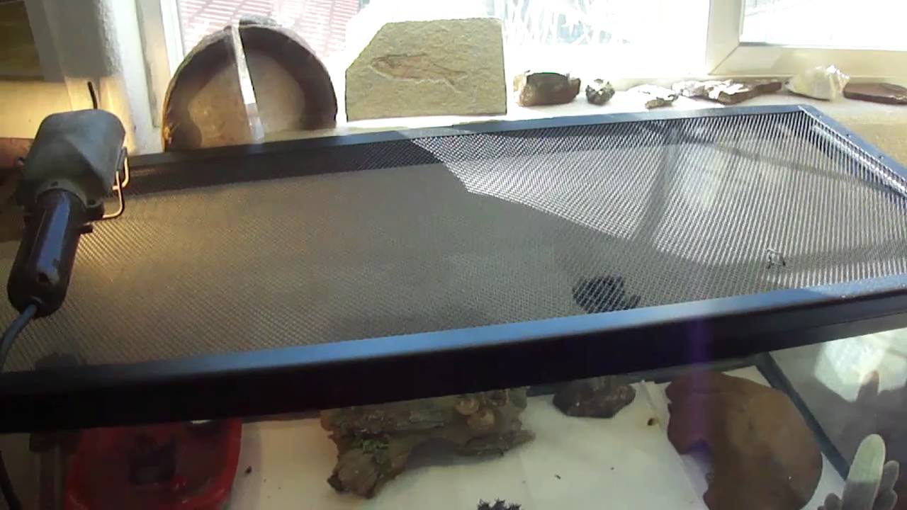 lizard skin grips Leopard Gecko Care: Lighting