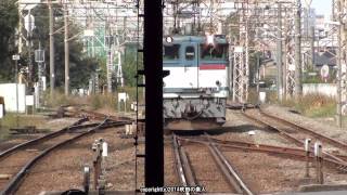 JR貨物 EF65 2117号機単機（単1774ﾚ）のスイッチバック （H26.10.30）