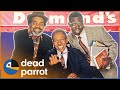 Desmonds season 1 full episodes  absolute jokes