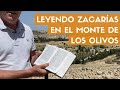 Leyendo Zacarías en el Monte de los Olivos