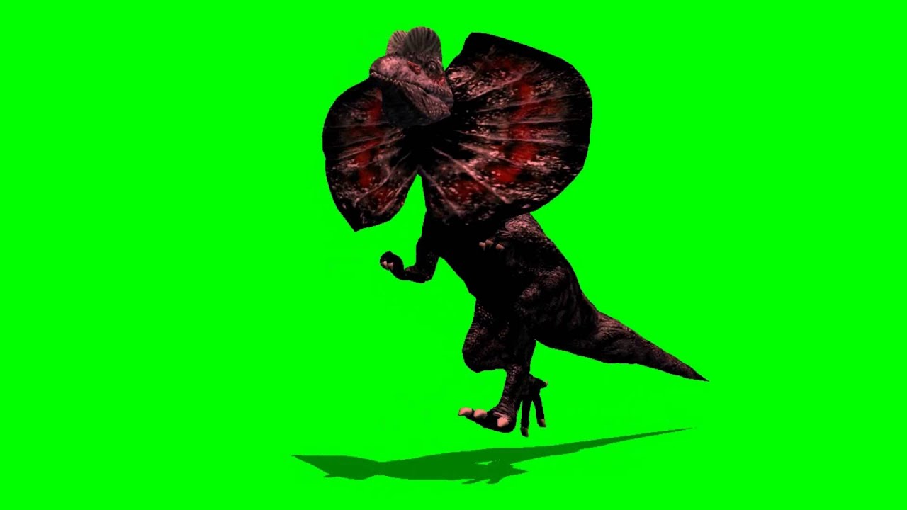 raptor dinosaur runs green screen 2 - free green screen - free use ...