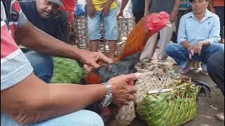 jago bangkok di pasar sleman