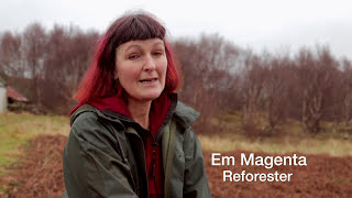 Reforesting Scotland / Planting Trees / Rewilding Britain / Trees for life