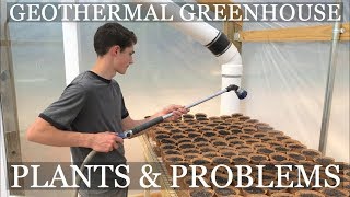 DIY Geothermal Greenhouse Pt 9: PLANTS &amp; PROBLEMS