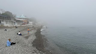 КРЫМ - Алушта в тумане. Видео снято 23 октября 2023г. Профессорский уголок, Набережная, море, цветы. screenshot 4