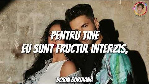 Edward Sanda, BiBi - Tu ești desert (Versuri/Lyrics Video)