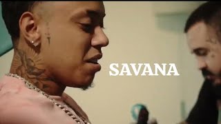 TETO SAVANA  (Web Clipe)